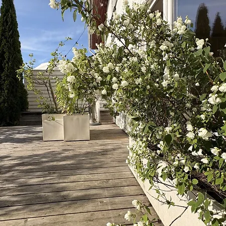 Villa Luxury Close To The Old Town And The